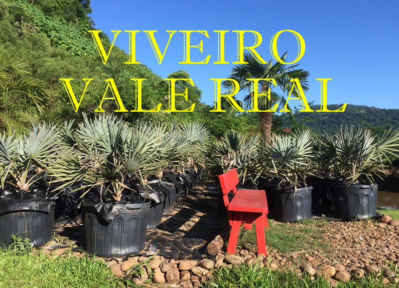 VIVEIRO VALE REAL
